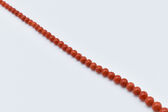 Korallenkette