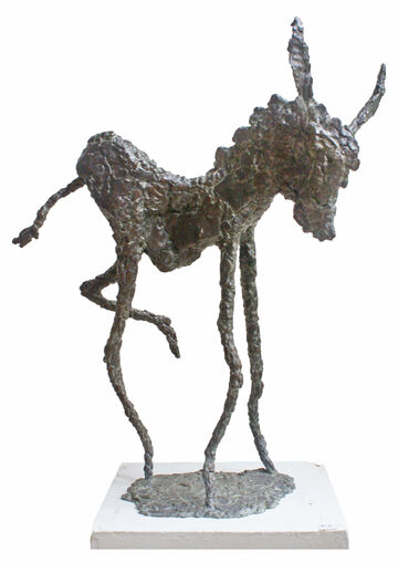 donkey foal, 2013