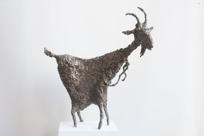 goat, 2016
