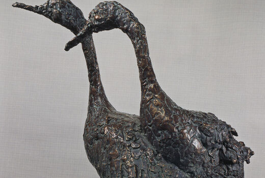 geese, 2007