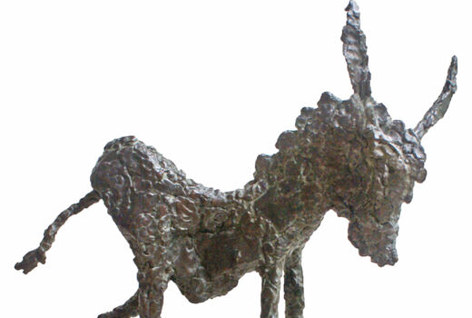 donkey foal, 2013