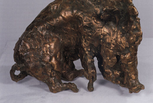 sow, 2006