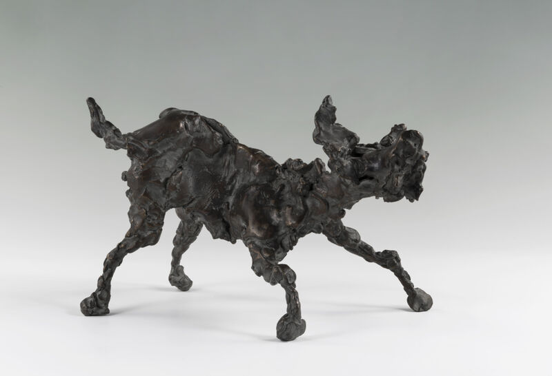 playing dog, 2010