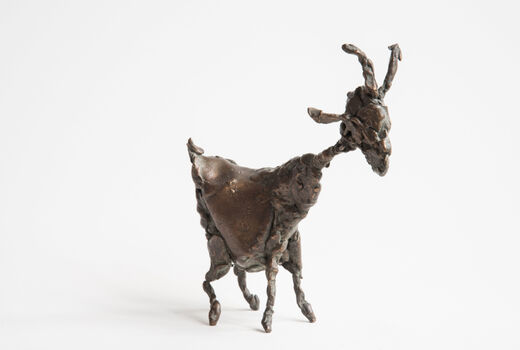 goat, 2016