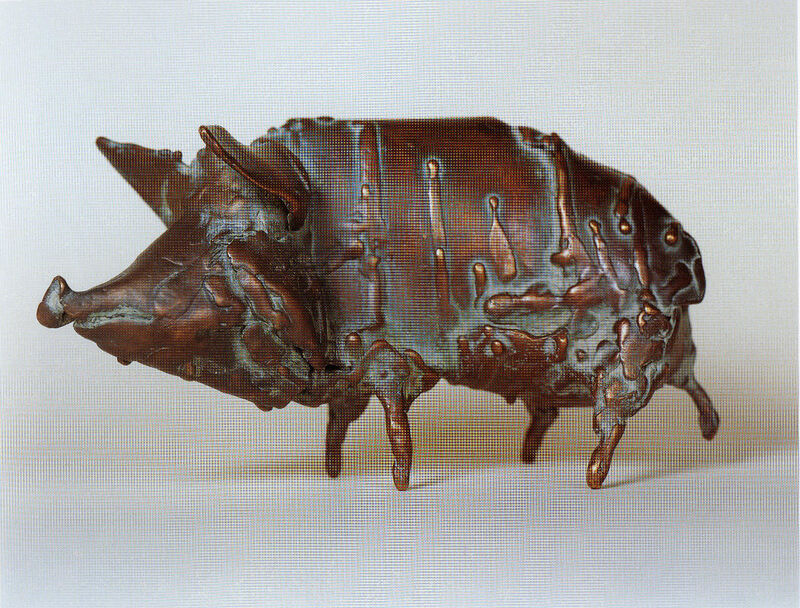 sow, 1999