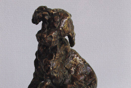 puppy, 2008