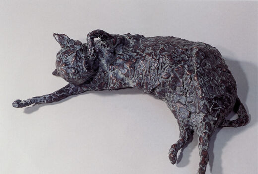 Katze, 2000