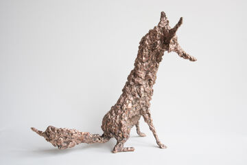 sitting fox, 2014
