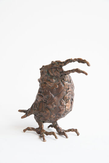 bird, 2017