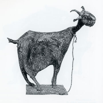 Ziege, 1986