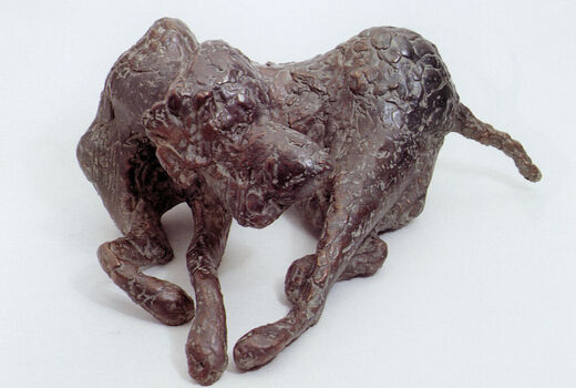 liegender Hund