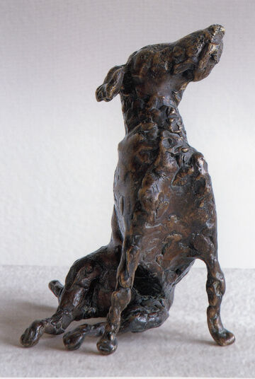 dog, 2007