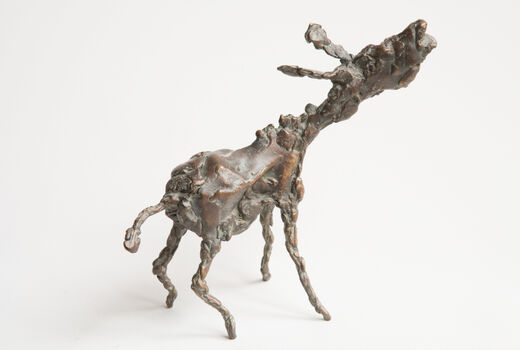 screaming donkey, 2014