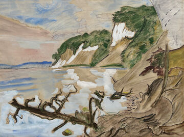 Coastal landscape
