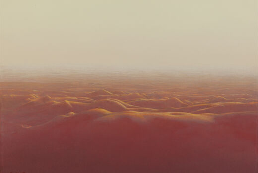 Vision des Beduinen, 2007
