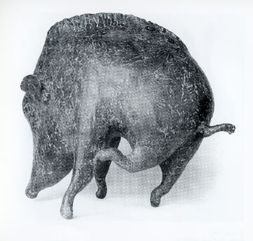 Wildschwein, 1986