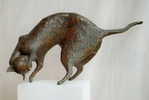 cat, 1999