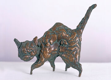 cat, 2004