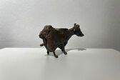 small cow, 2005