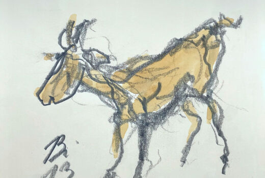 goat, 2013