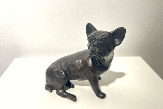 small, french Bulldog, 1998