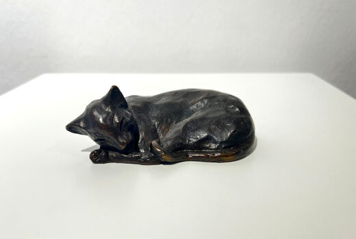 small, curled up cat, 1984