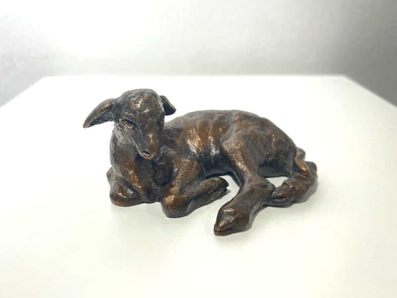 reclining Karakul lamb, 1996
