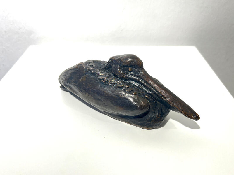 sitting Pelican, 1980