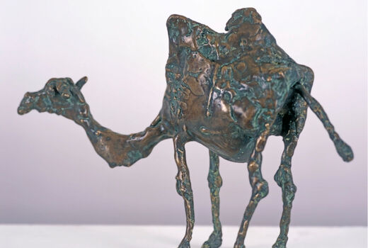 camel, 2003