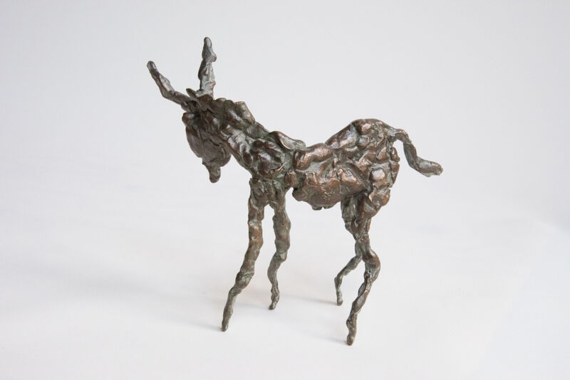 little donkey, 2014