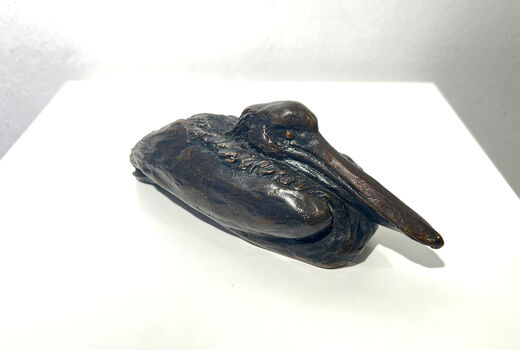 sitting Pelican, 1980