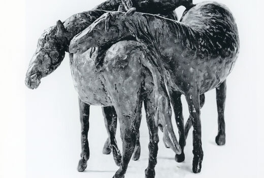 group of horses, 1988