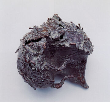 Igel, 2000