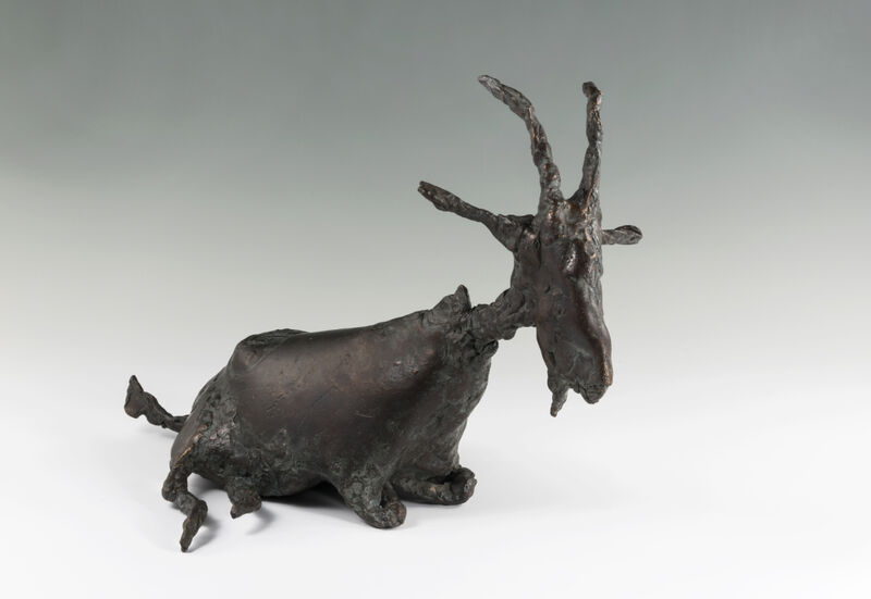 goat lying down, 2018