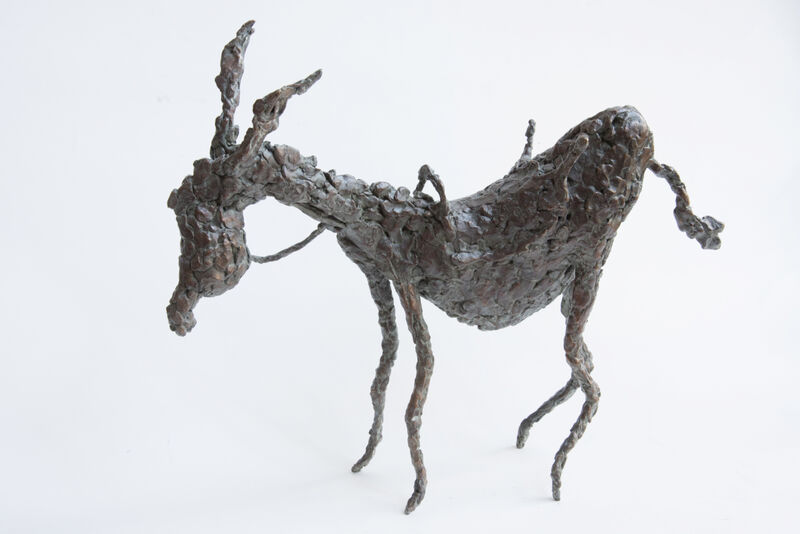 donkey with saddle, 2013