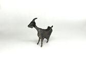small goat, 2001