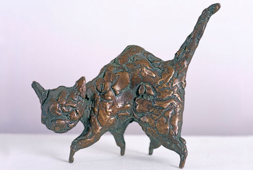 cat, 2004