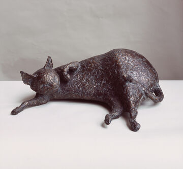cat lying down, 2007