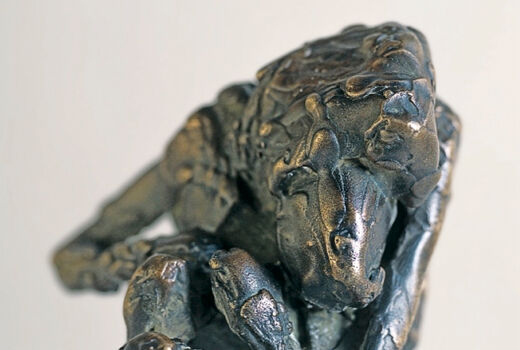monkey, 2004