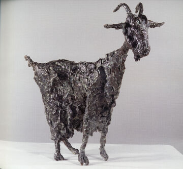 goat, 2005
