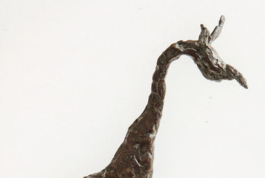 giraffe, 2015
