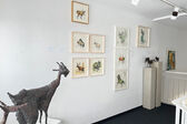 moose, 2009