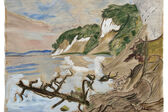 Coastal landscape