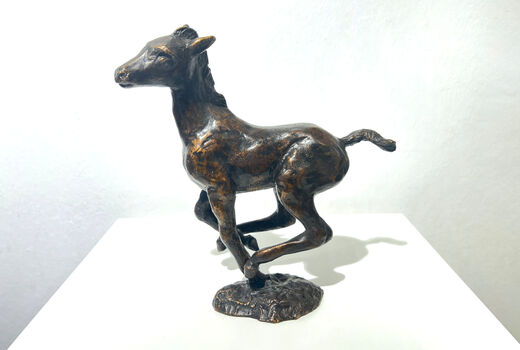large, galloping foal, 1964