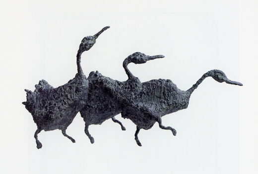 3 Enten, 2001
