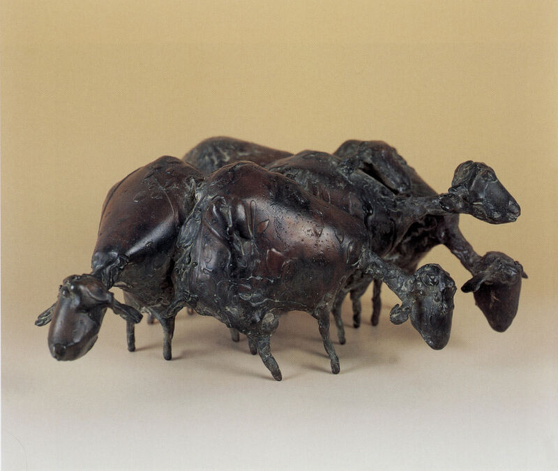 5 Schafe, 2001