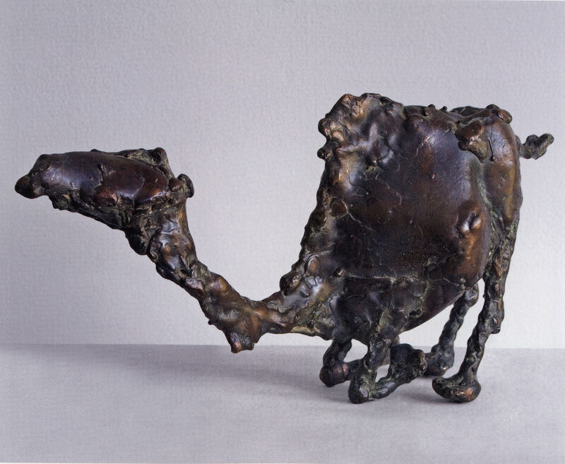 camel, 2008