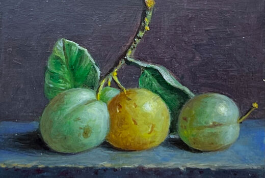 Stillleben mit gelben Pflaumen