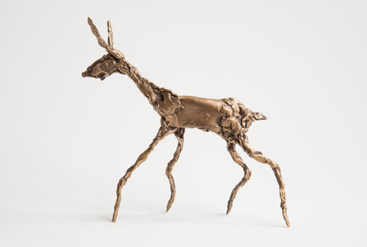 fawn, 2014