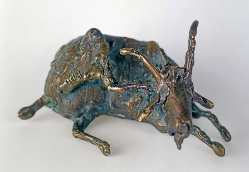 goat lying down, 2002